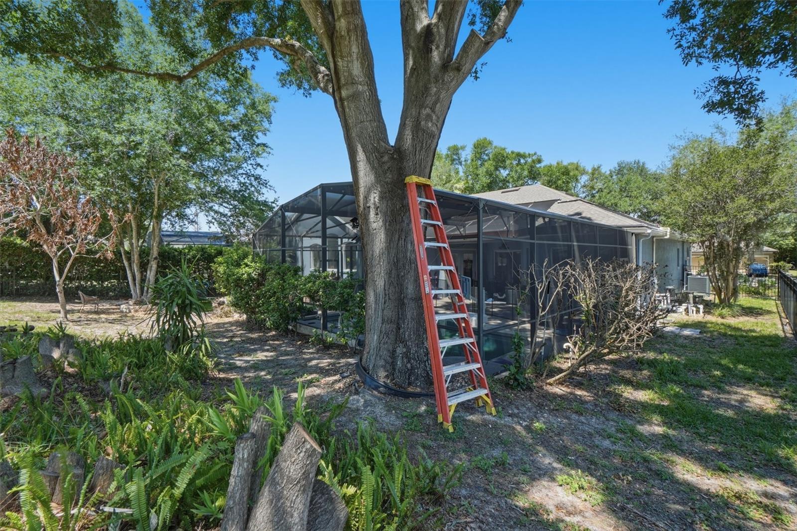 935 KEATON PKWY, OCOEE, FL, 34761