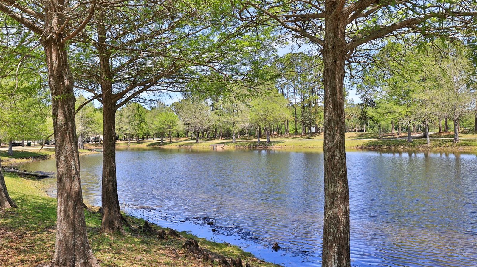 6171 SABAL POINT CIR, PORT ORANGE, FL, 32128