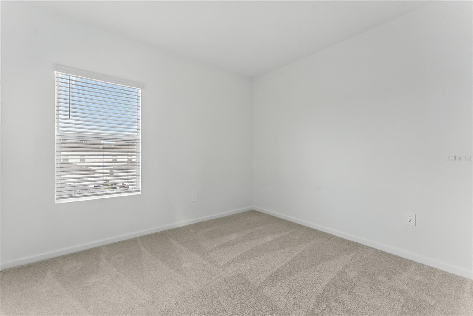 2341 WHITE BUFFALO ST, APOPKA, FL, 32703