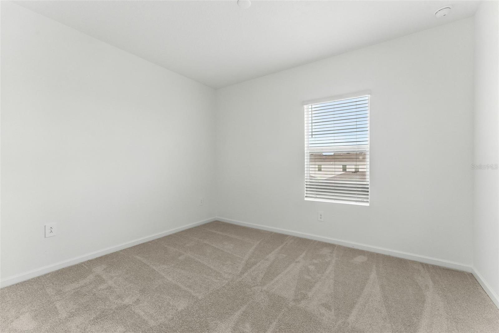 2341 WHITE BUFFALO ST, APOPKA, FL, 32703