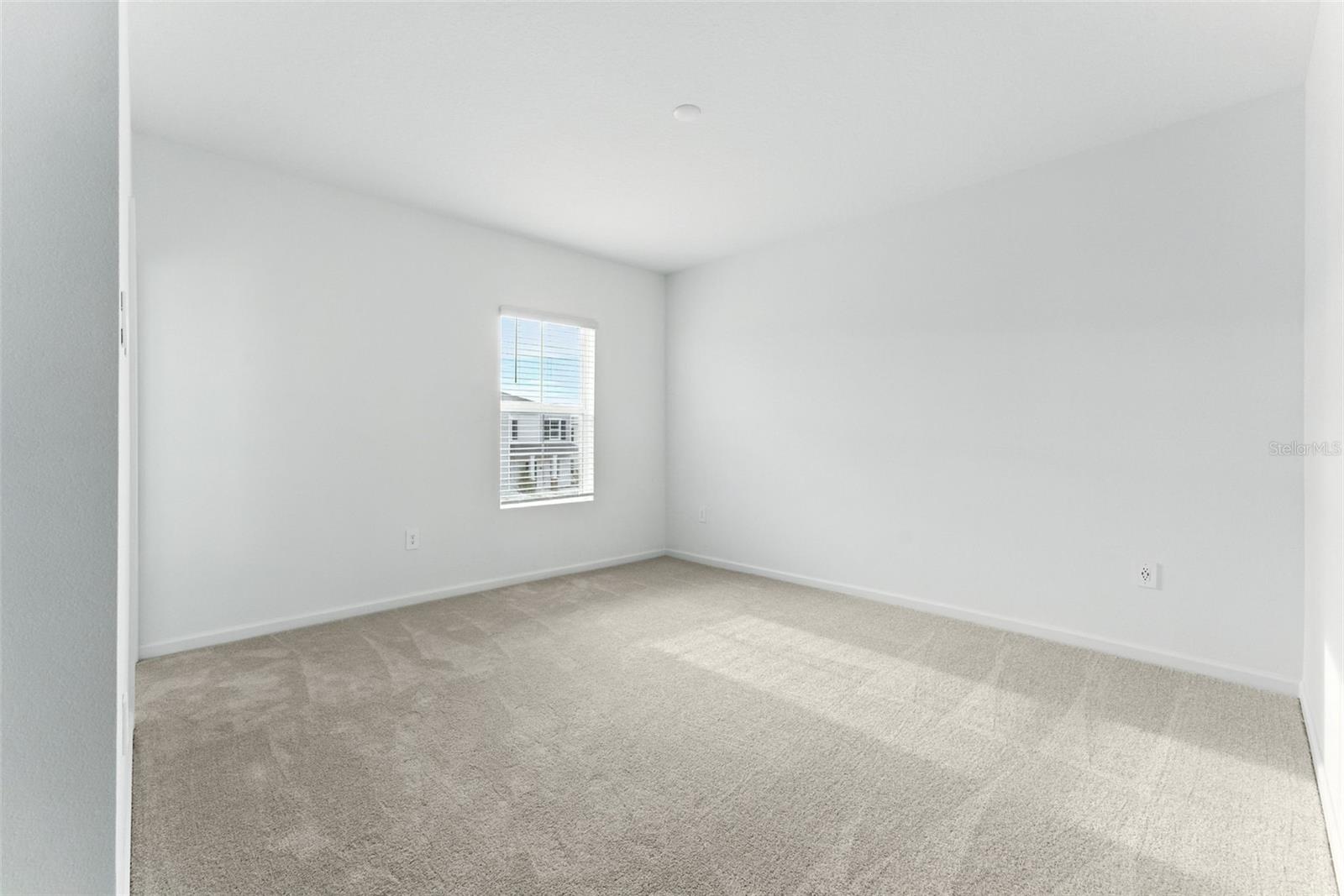 2341 WHITE BUFFALO ST, APOPKA, FL, 32703