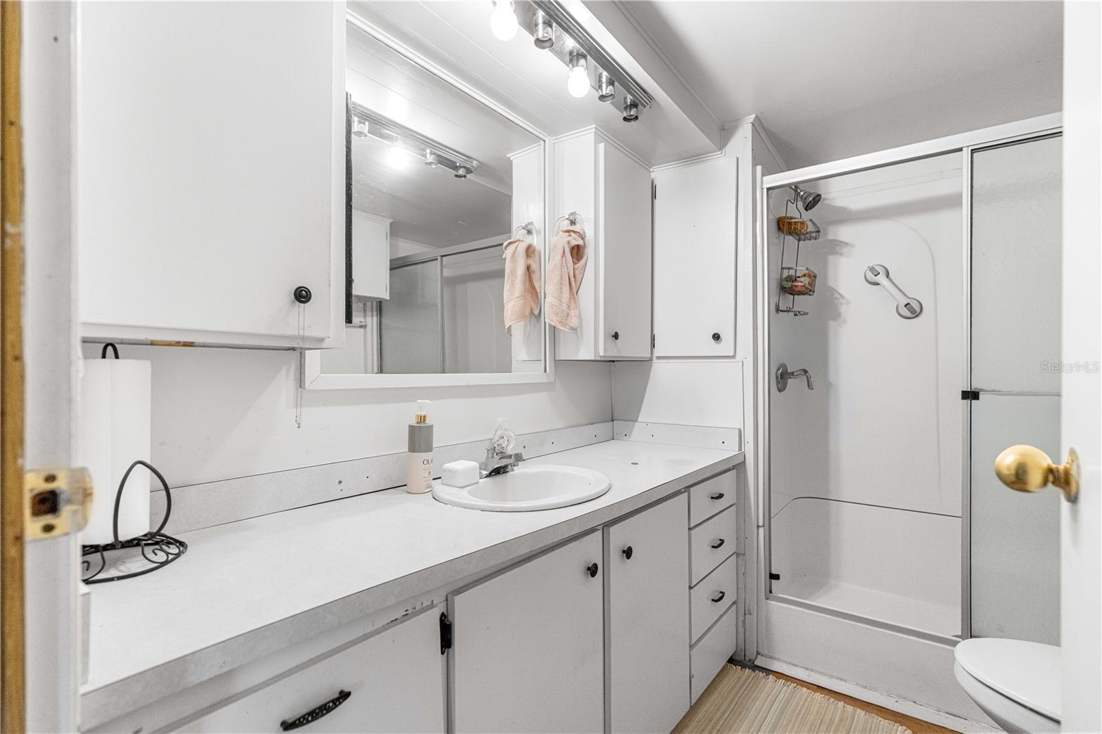 10752 SE 128TH ST, BELLEVIEW, FL, 34420