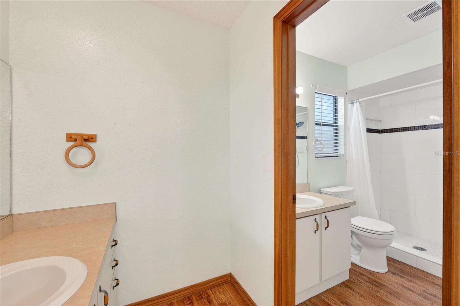 1780 HEATHER ST, MOUNT DORA, FL, 32757