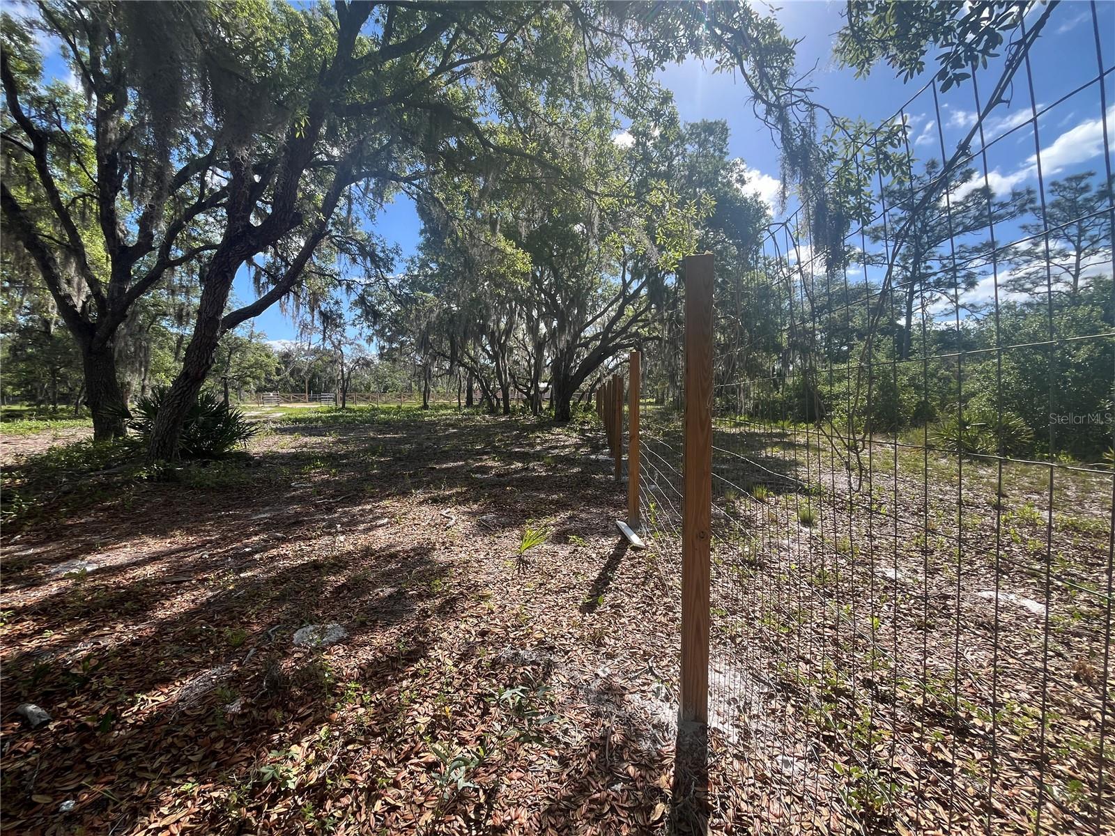 FAZZINI DR, FROSTPROOF, FL, 33843