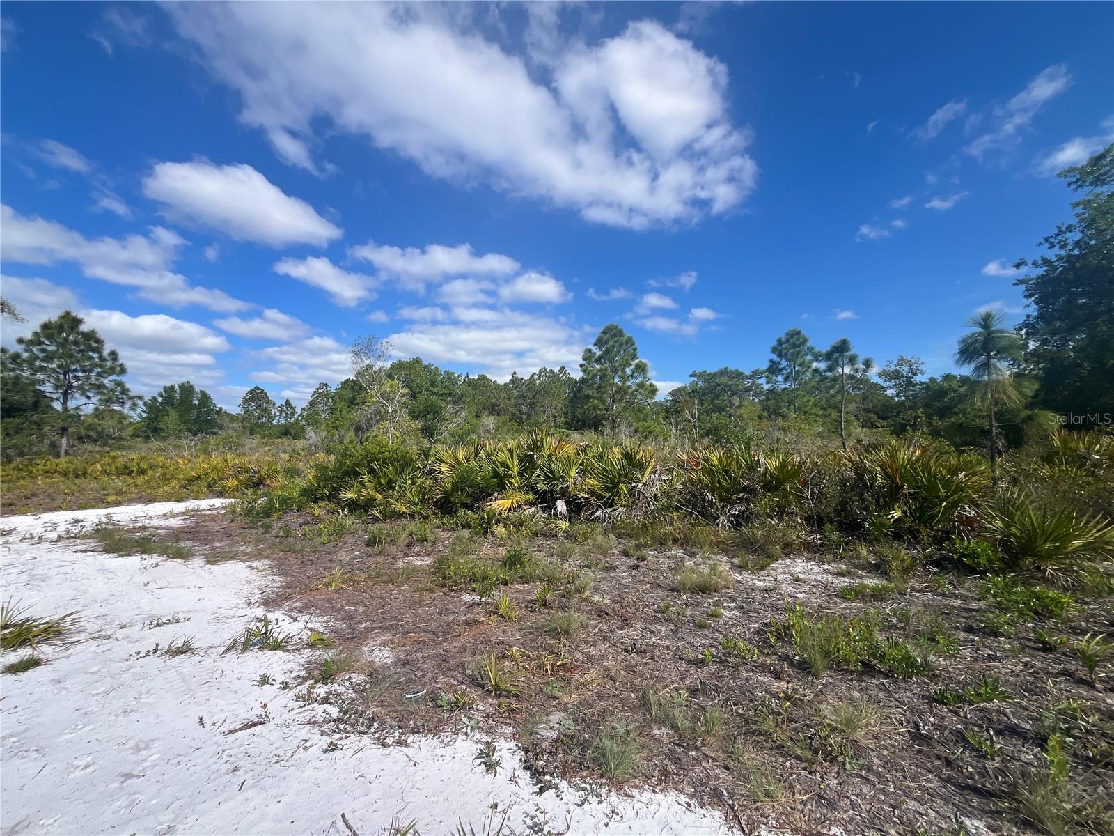 FAZZINI DR, FROSTPROOF, FL, 33843