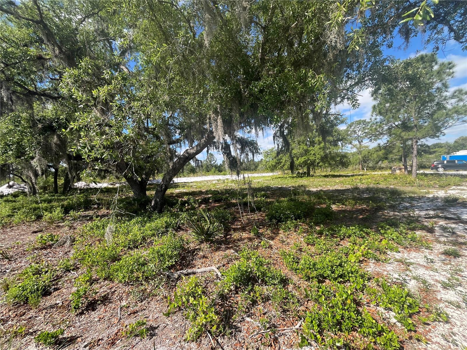 FAZZINI DR, FROSTPROOF, FL, 33843