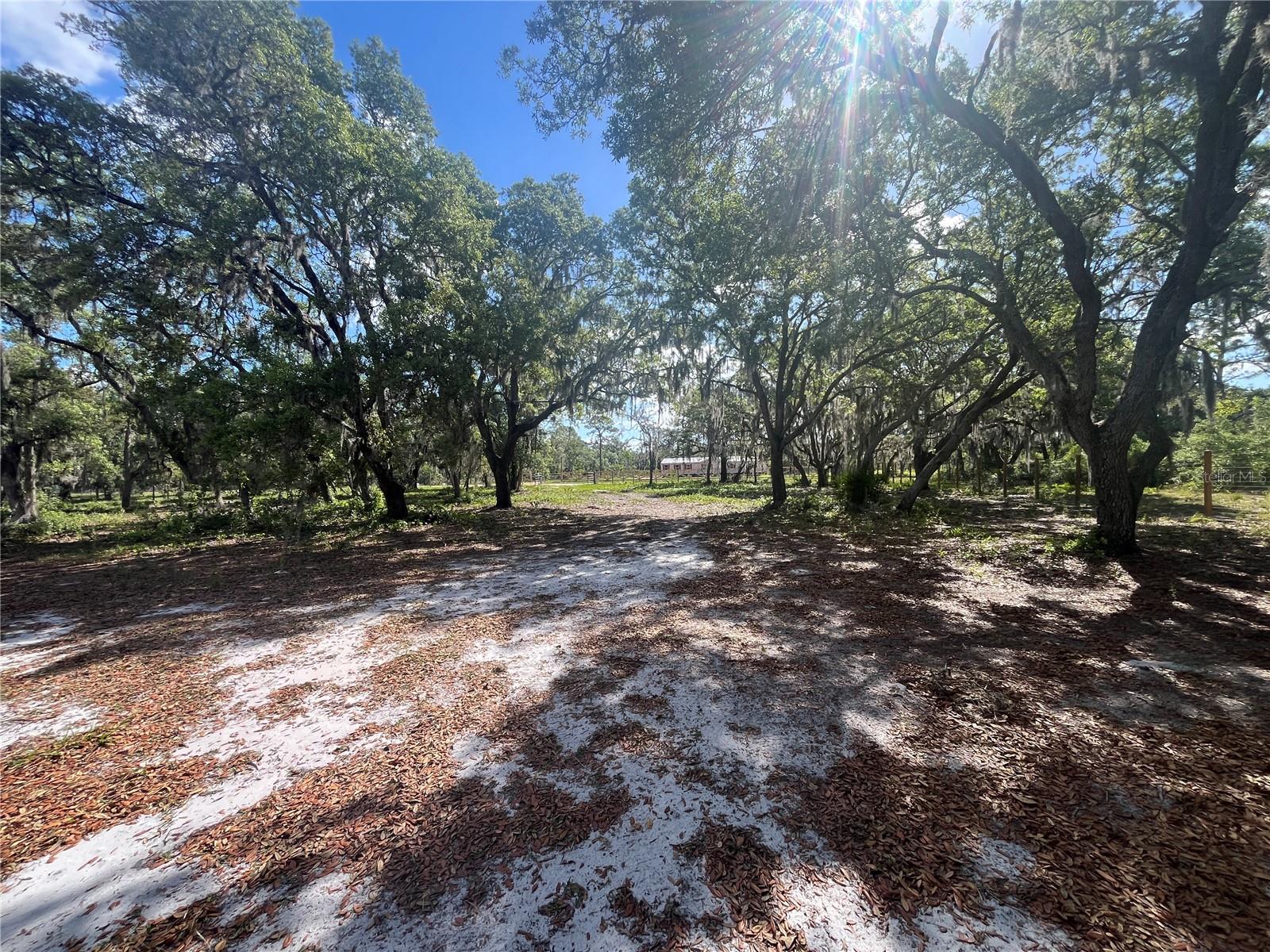 FAZZINI DR, FROSTPROOF, FL, 33843