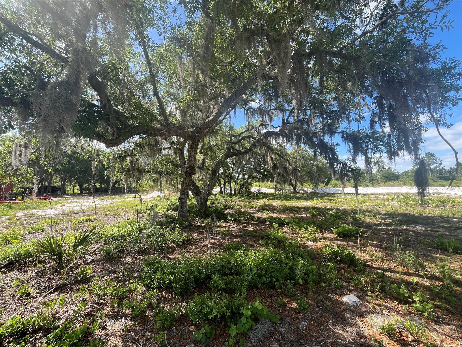 FAZZINI DR, FROSTPROOF, FL, 33843