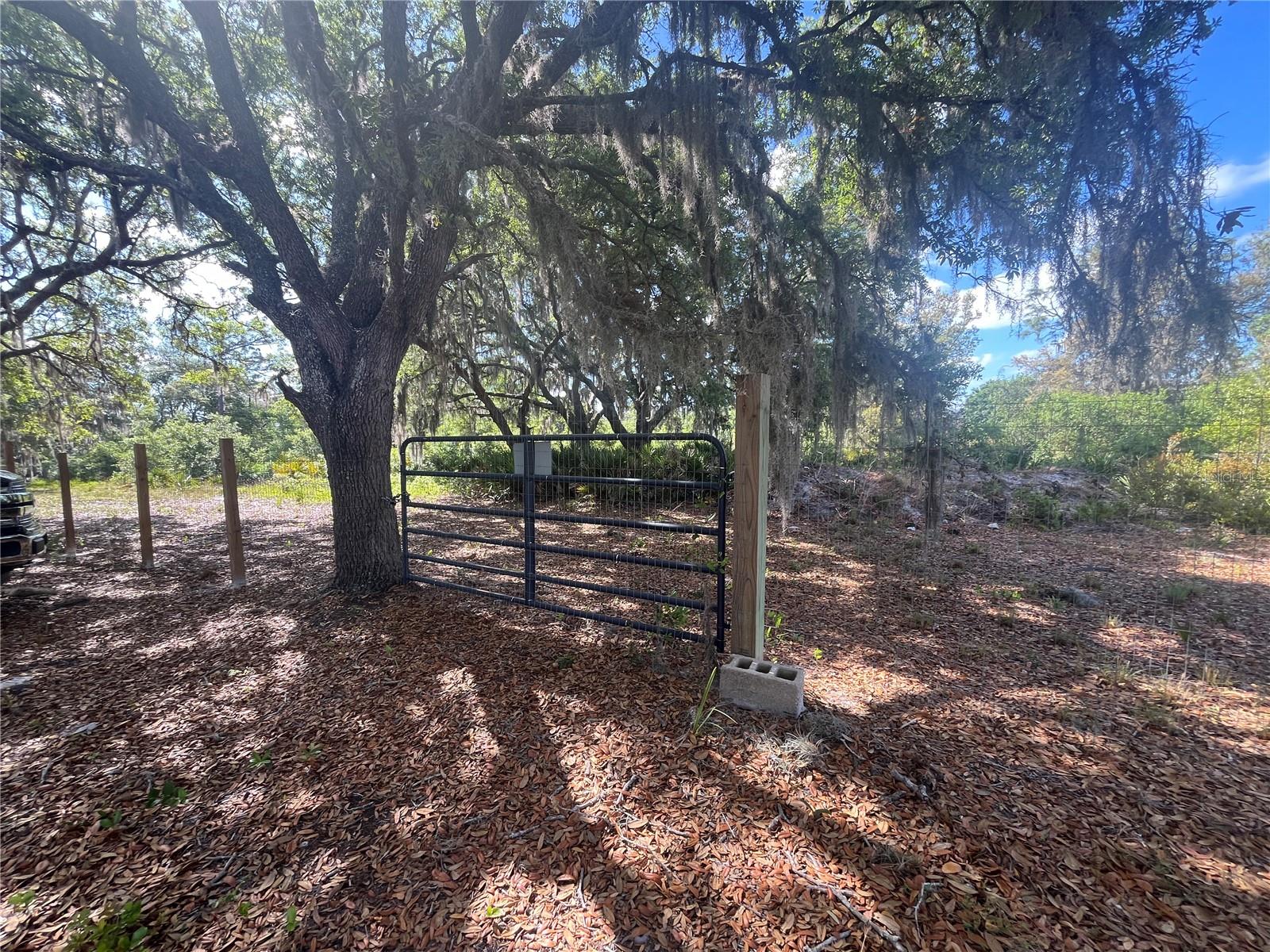 FAZZINI DR, FROSTPROOF, FL, 33843