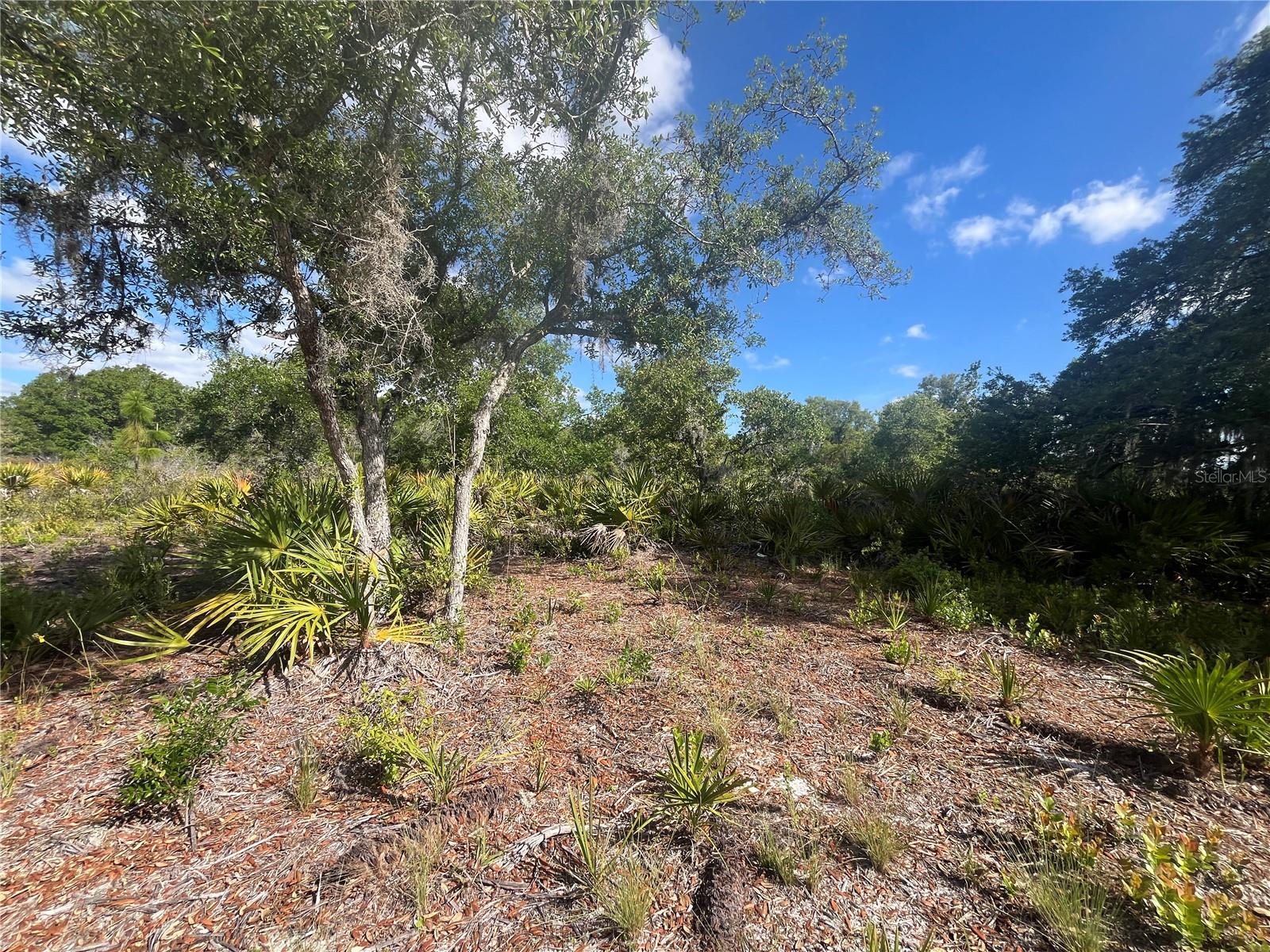 FAZZINI DR, FROSTPROOF, FL, 33843