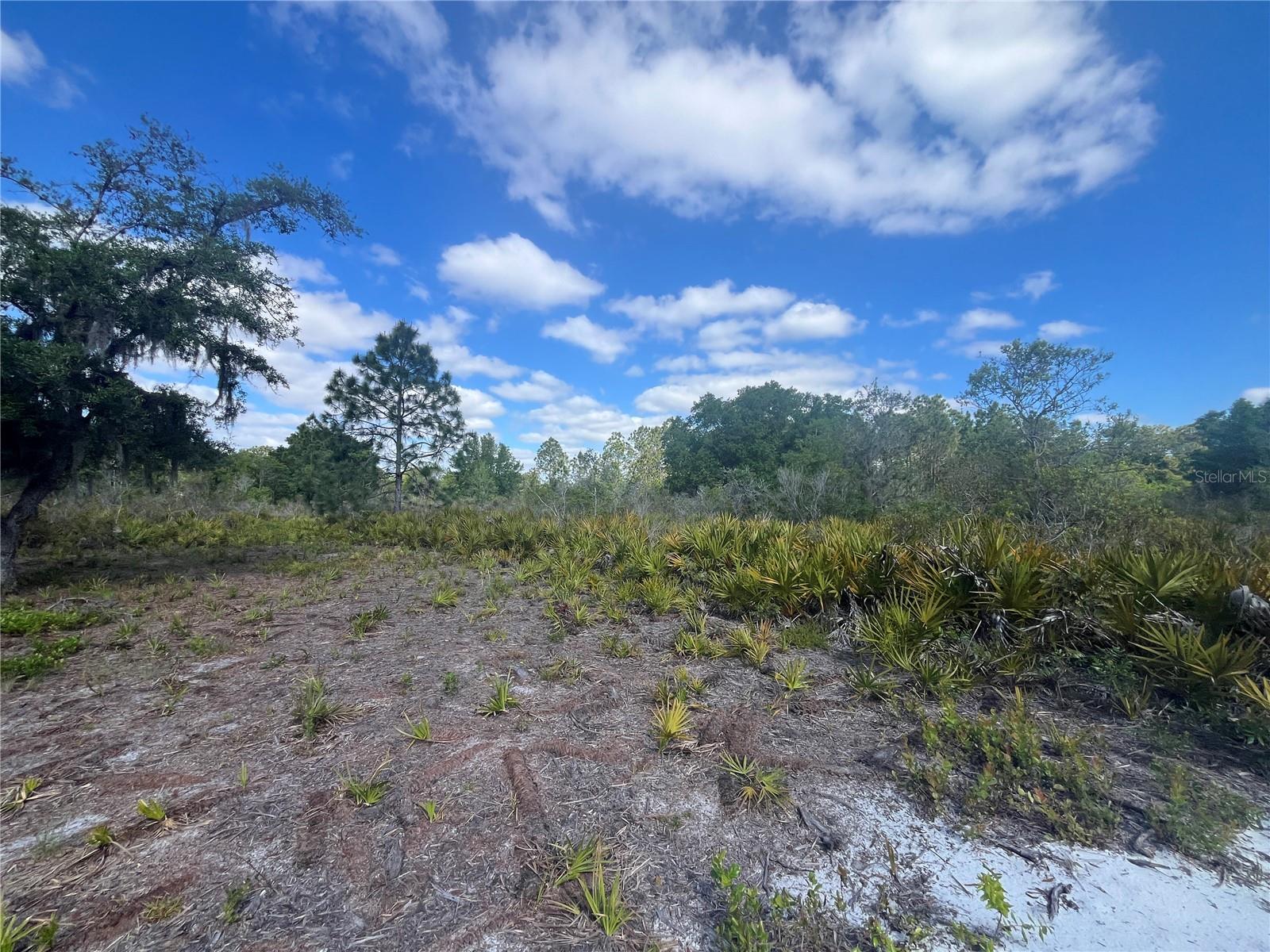 FAZZINI DR, FROSTPROOF, FL, 33843