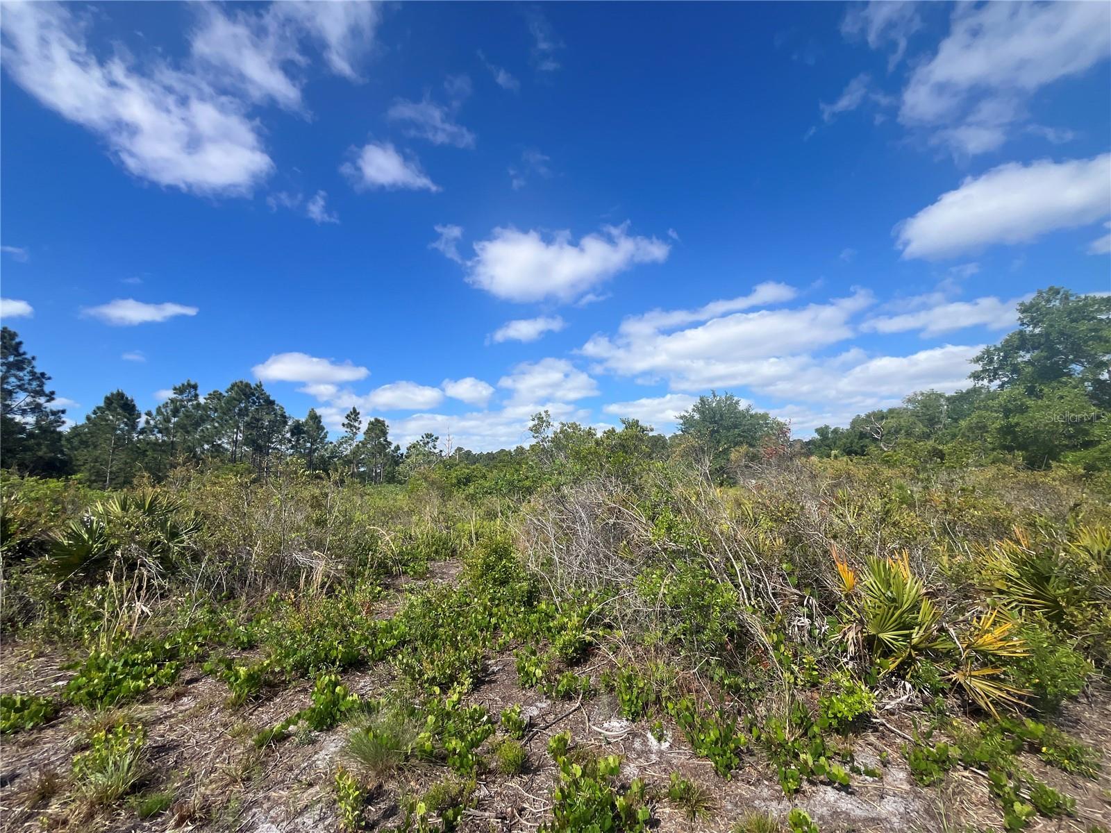 FAZZINI DR, FROSTPROOF, FL, 33843