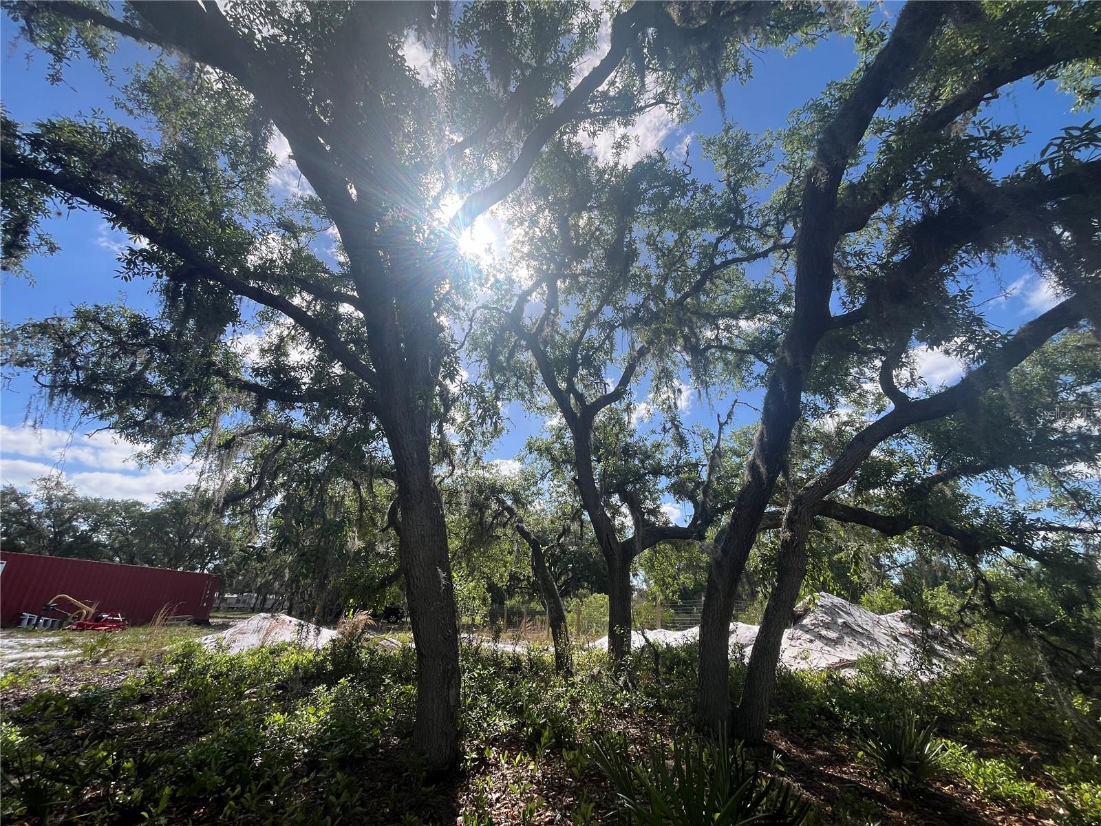 FAZZINI DR, FROSTPROOF, FL, 33843