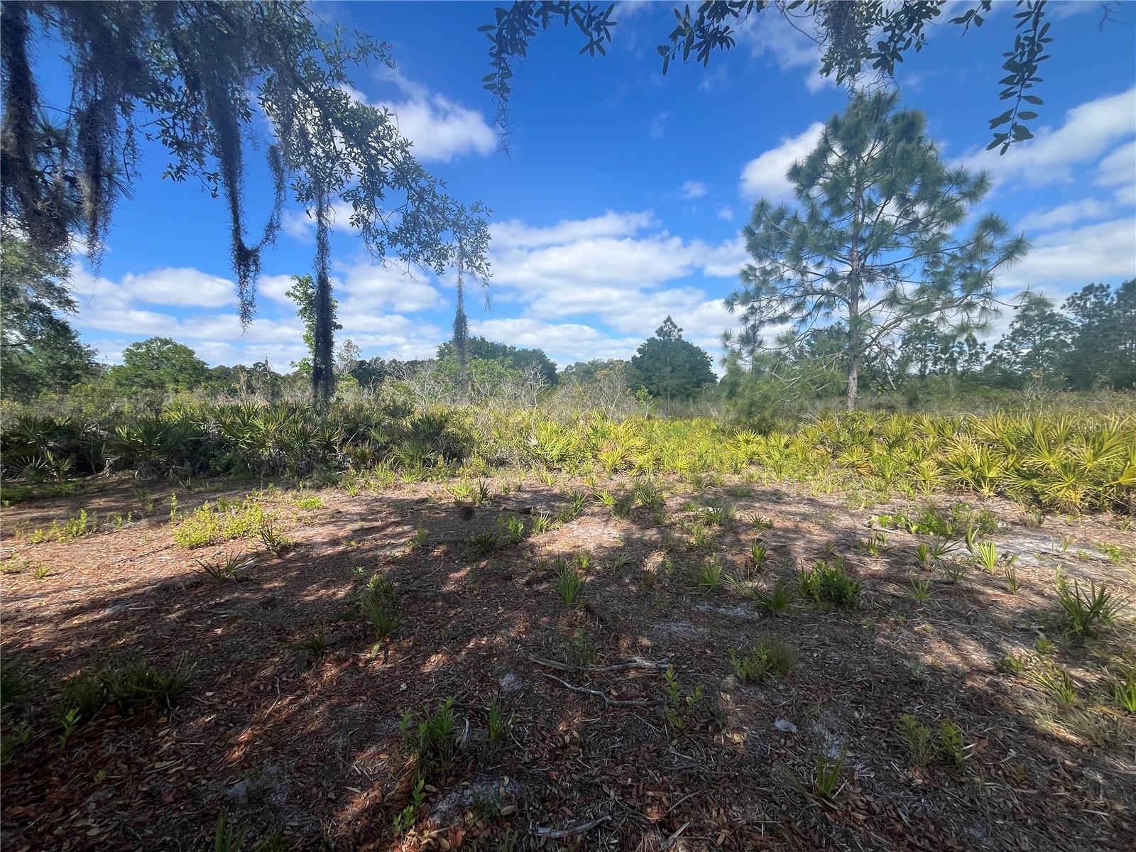 FAZZINI DR, FROSTPROOF, FL, 33843