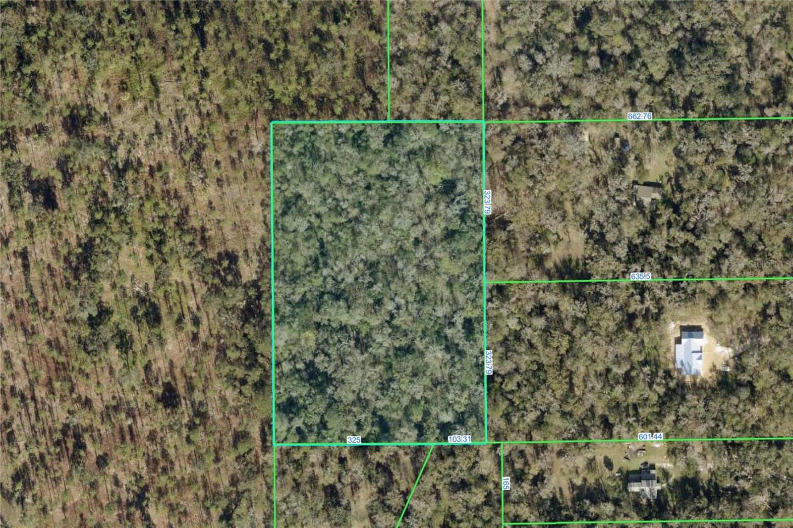 TIMBER LN, BROOKSVILLE, FL, 34601