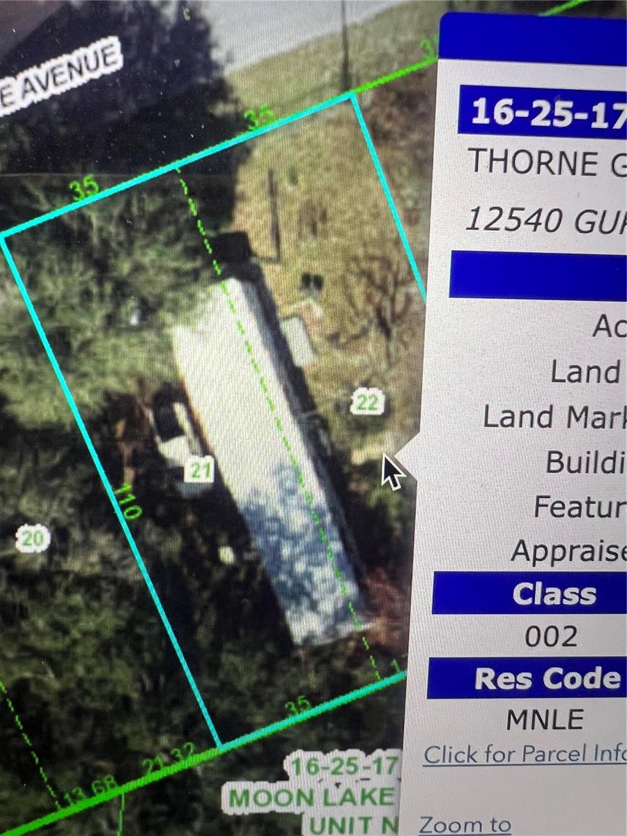 12540 GURNEE AVE, NEW PORT RICHEY, FL, 34654