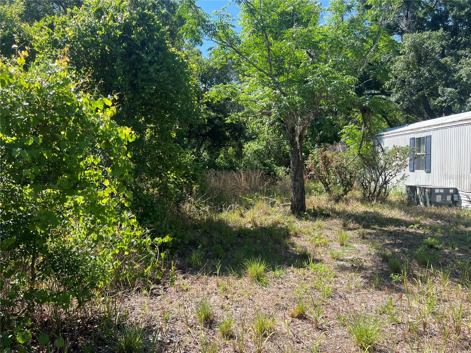 12540 GURNEE AVE, NEW PORT RICHEY, FL, 34654