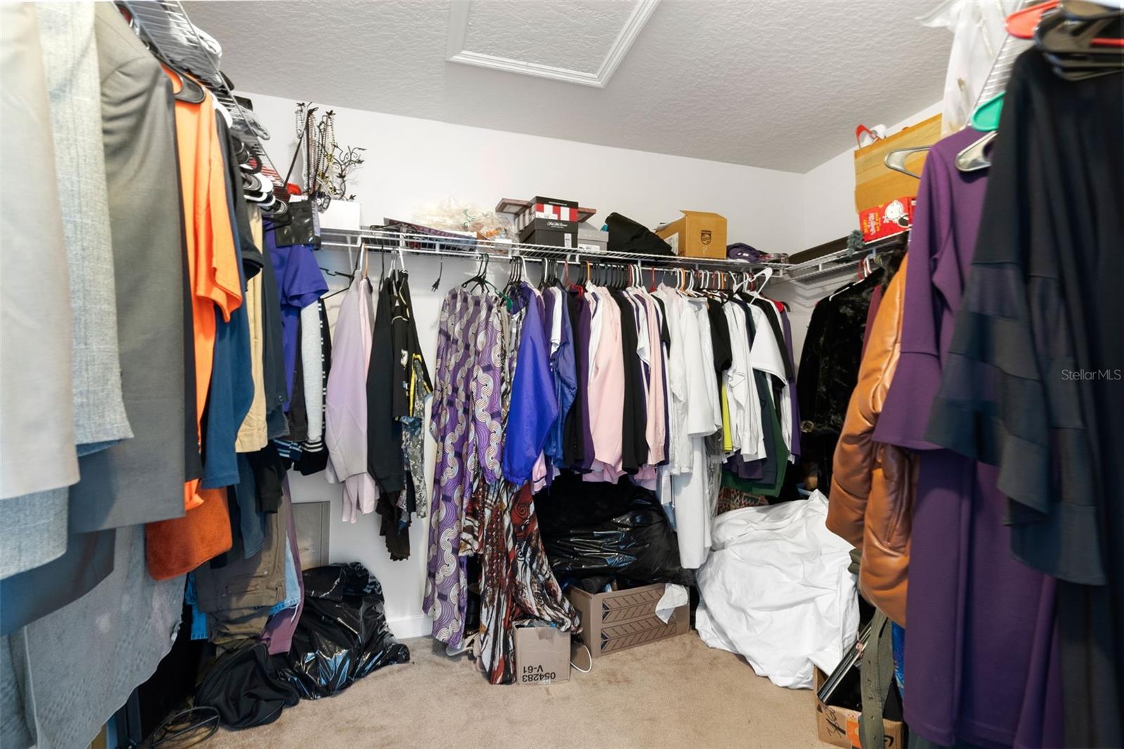 3362 CEDAR CREST LOOP, SPRING HILL, FL, 34609