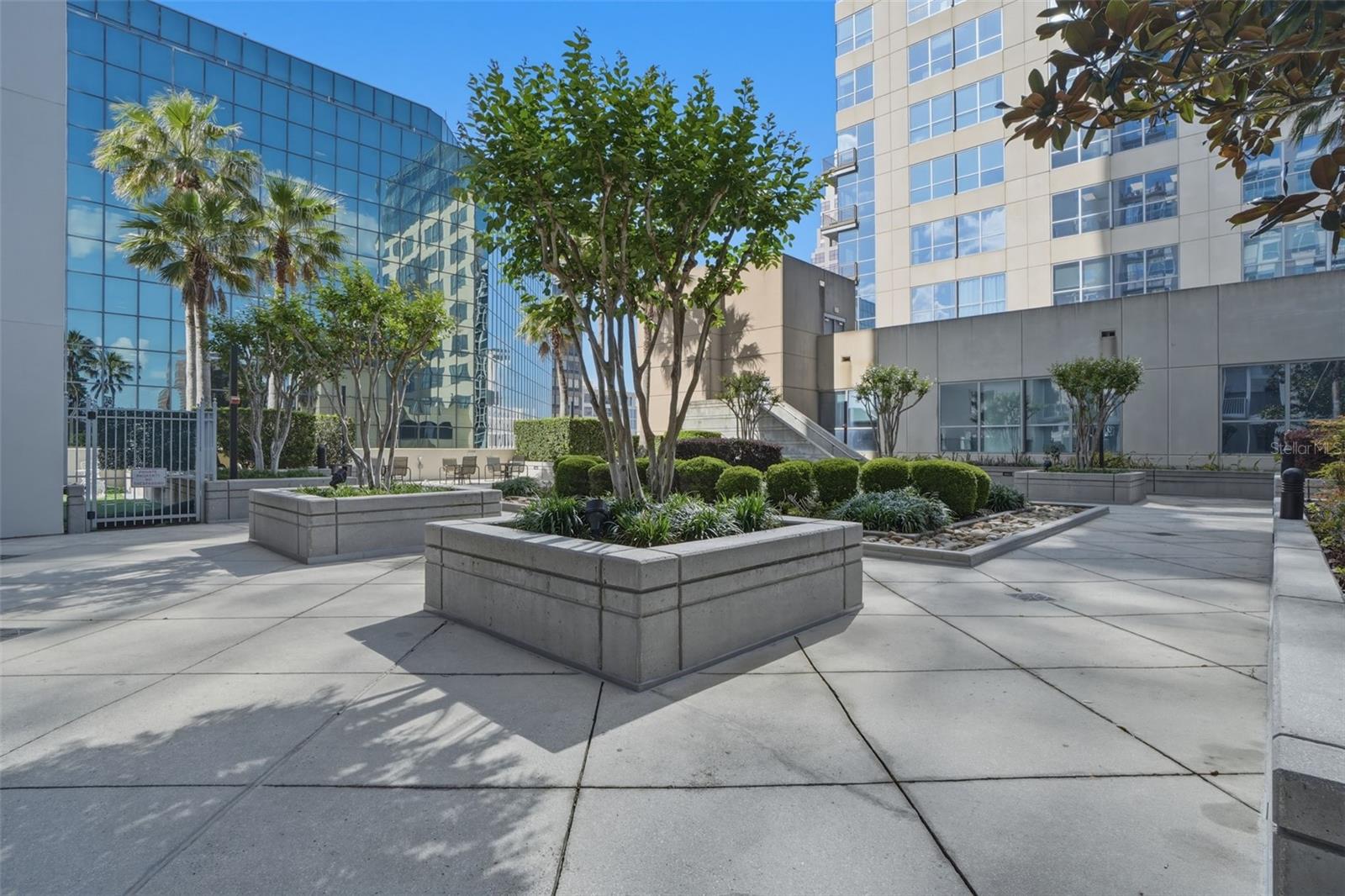 155 S COURT AVE #1107, ORLANDO, FL, 32801