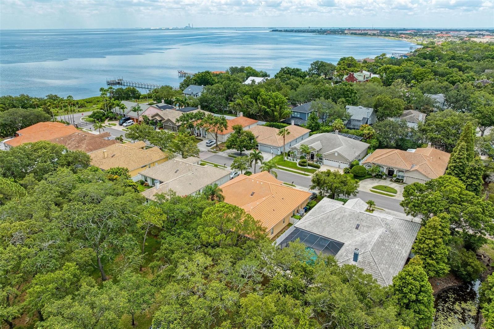 3047 POINTEVIEW DR, TAMPA, FL, 33611