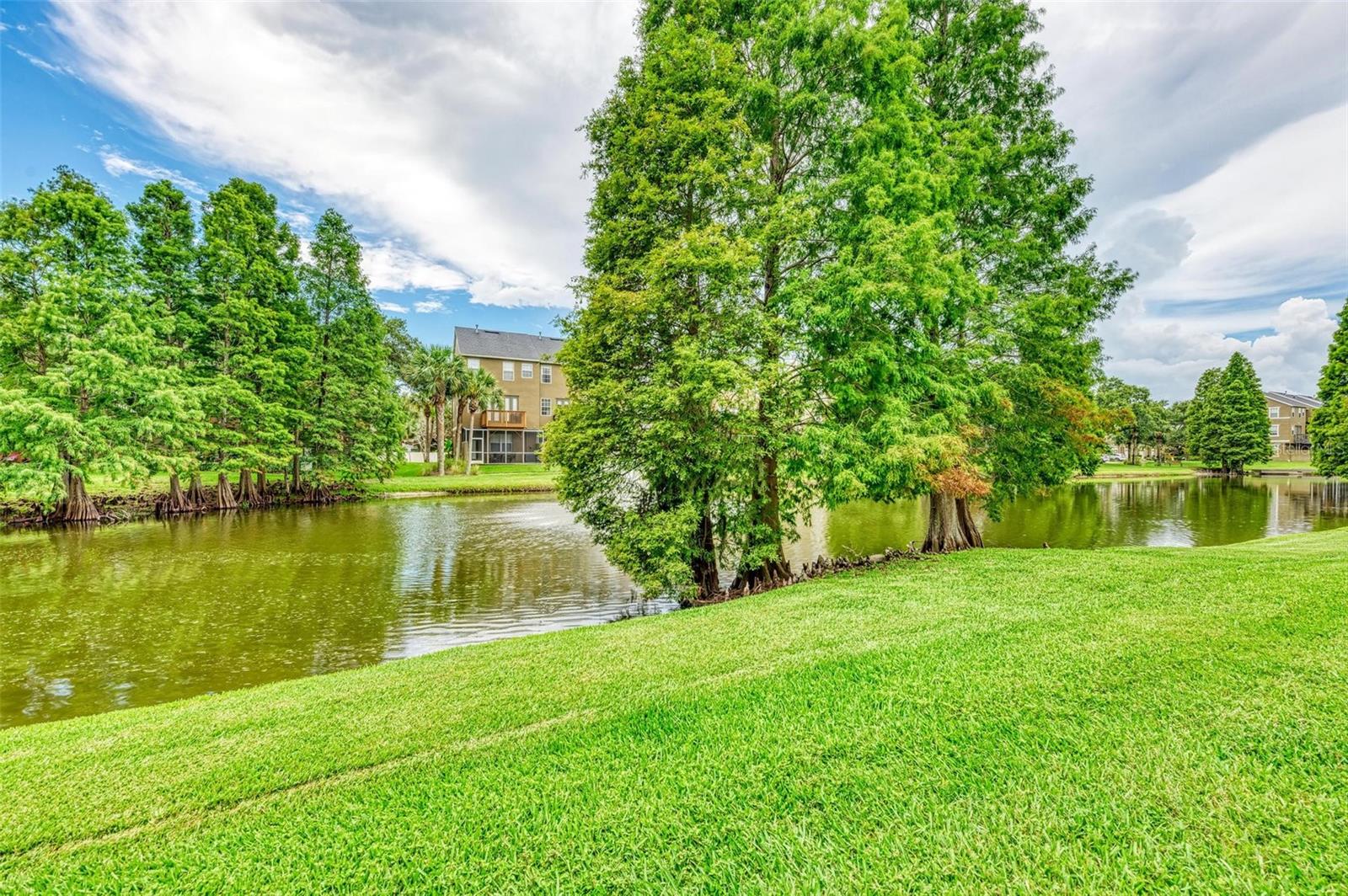 3047 POINTEVIEW DR, TAMPA, FL, 33611