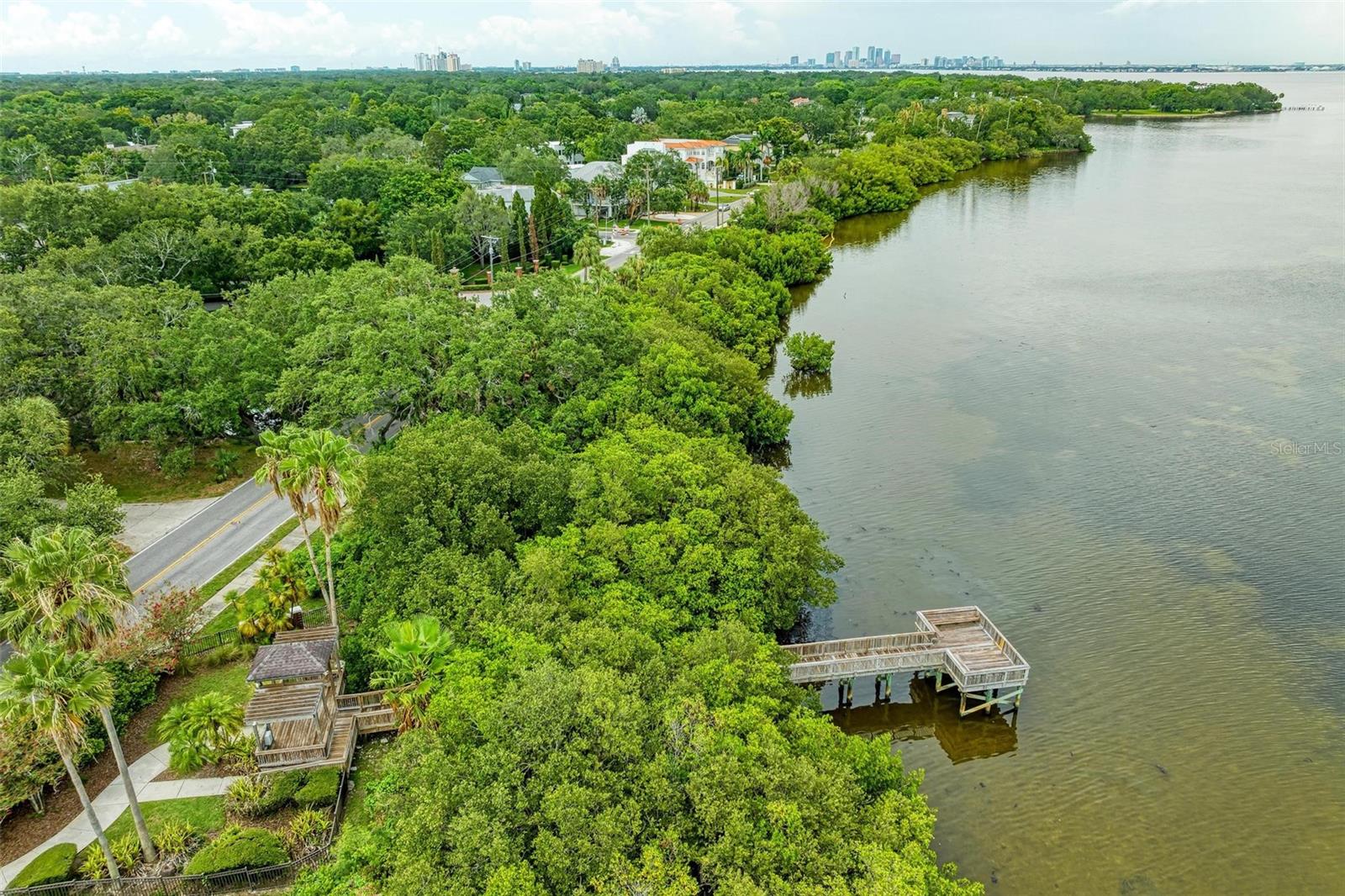 3047 POINTEVIEW DR, TAMPA, FL, 33611