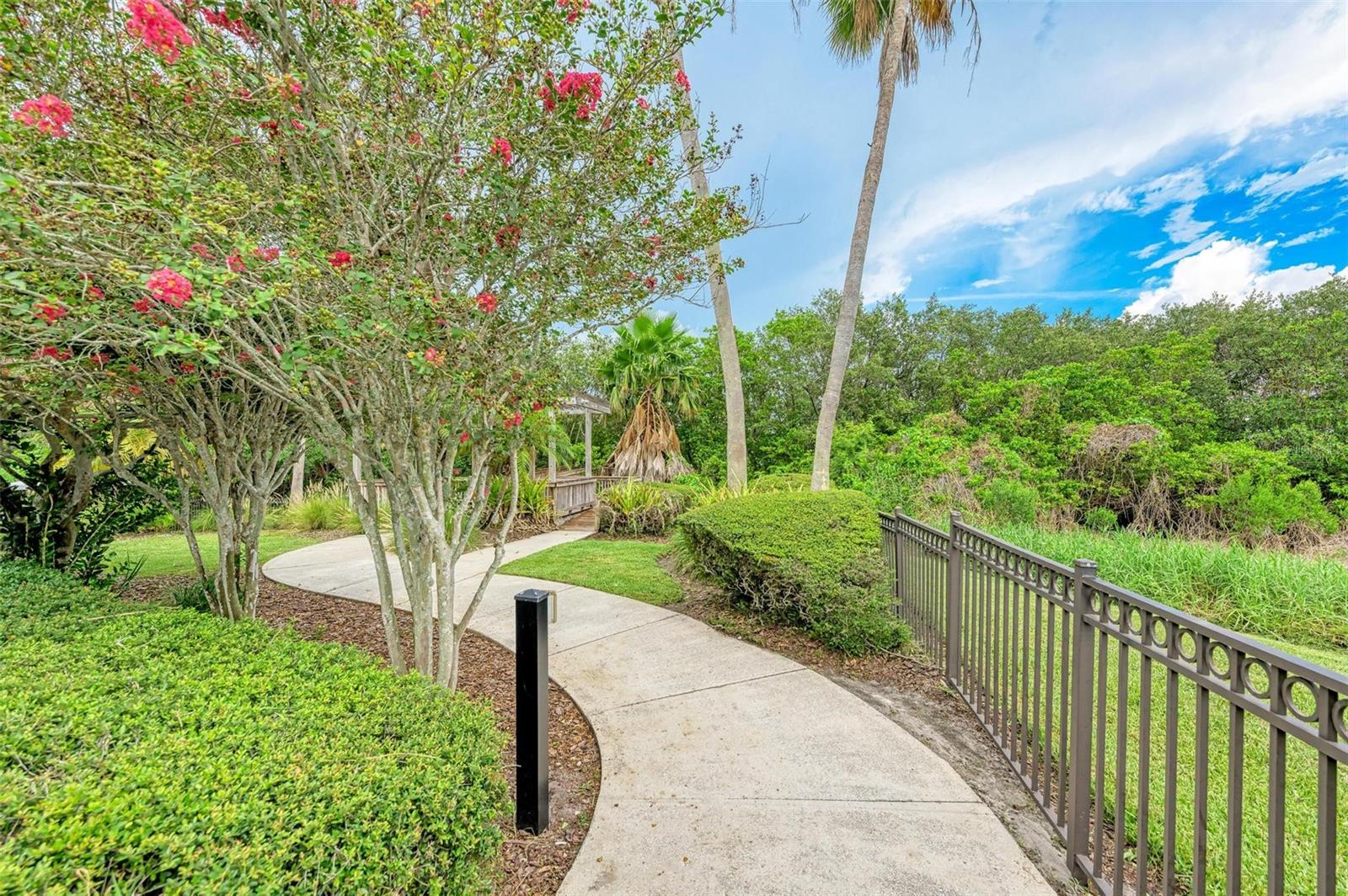 3047 POINTEVIEW DR, TAMPA, FL, 33611