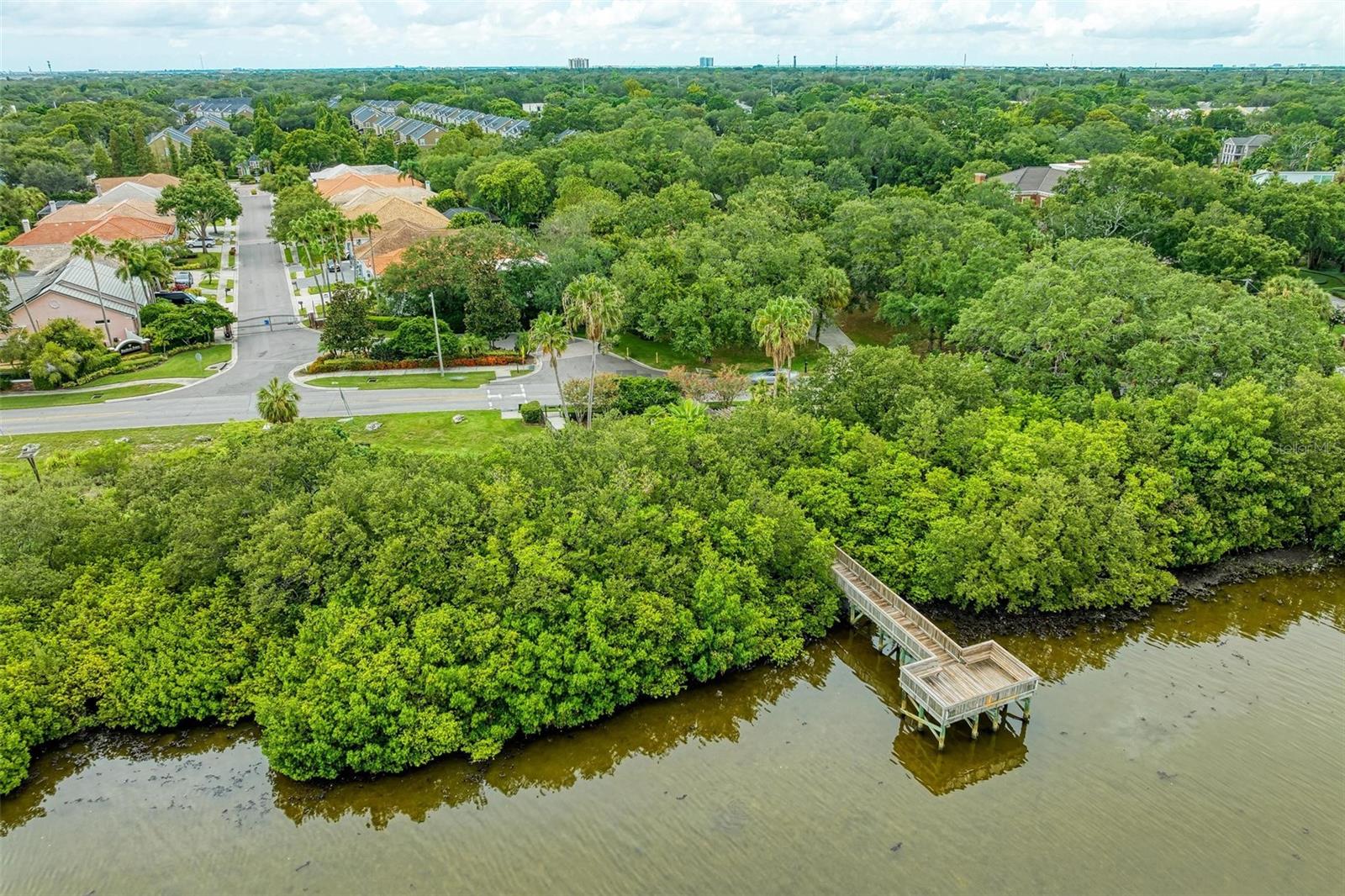 3047 POINTEVIEW DR, TAMPA, FL, 33611