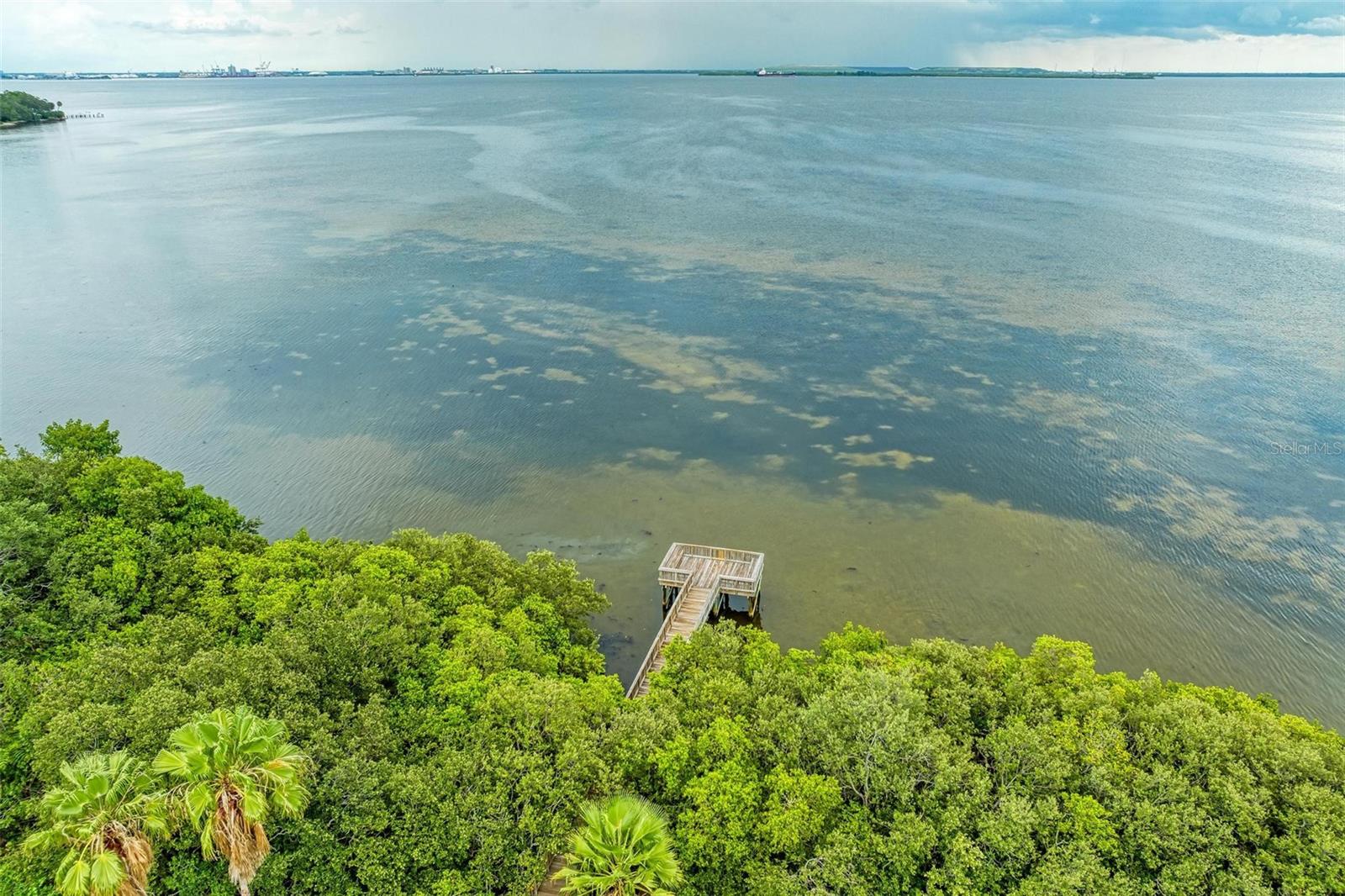 3047 POINTEVIEW DR, TAMPA, FL, 33611