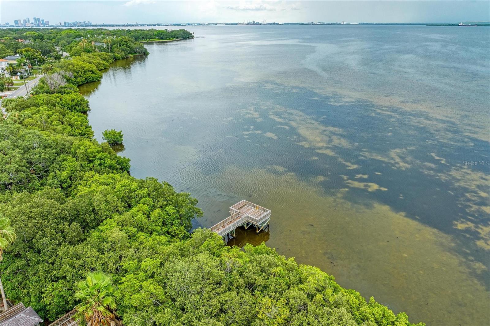 3047 POINTEVIEW DR, TAMPA, FL, 33611