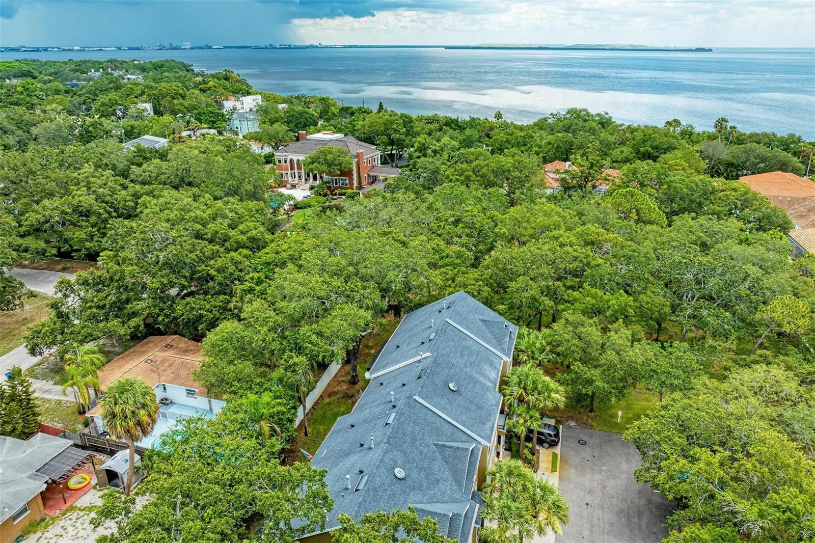 3047 POINTEVIEW DR, TAMPA, FL, 33611