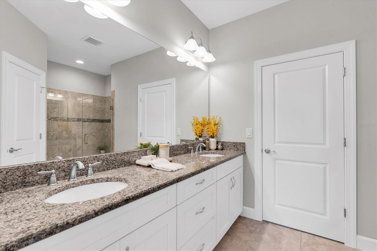 11257 CALLISIA DR, ODESSA, FL, 33556