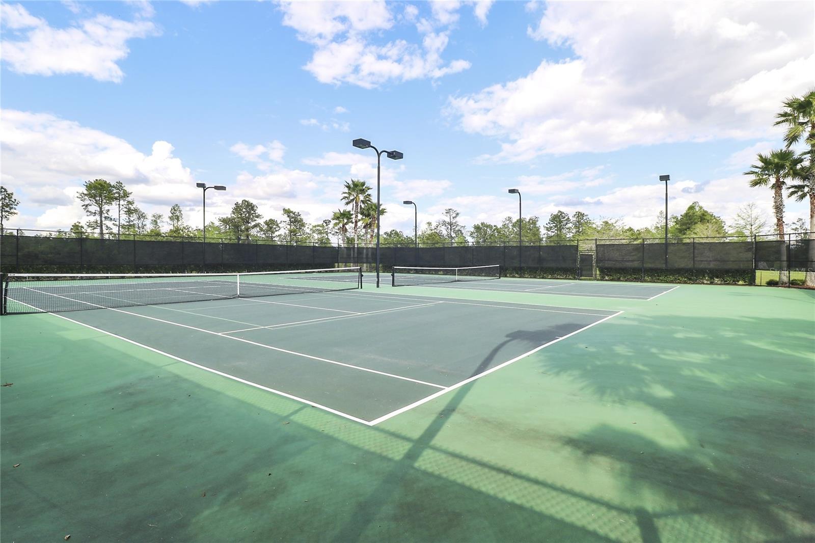 13679 ERIDANUS DR, ORLANDO, FL, 32828