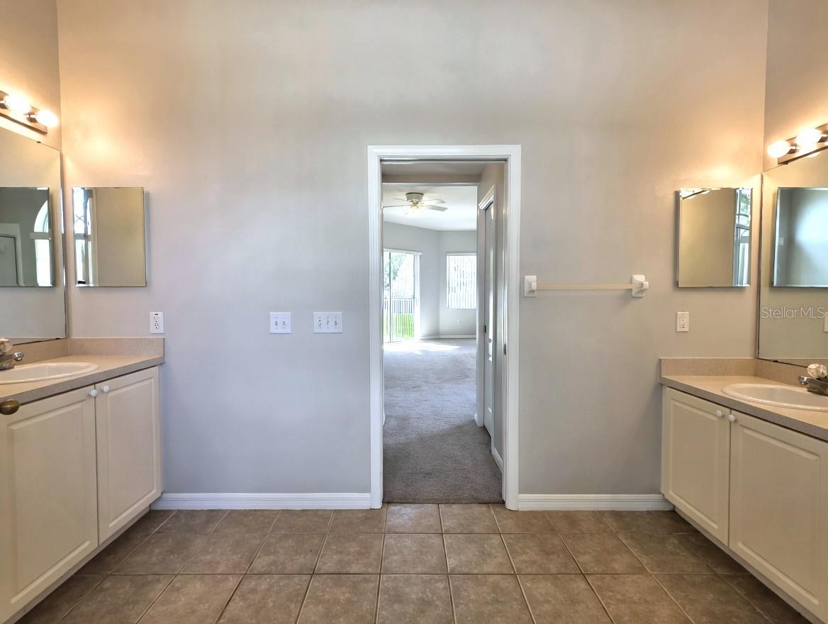 10805 AUSTRALIAN PINE DR, RIVERVIEW, FL, 33579