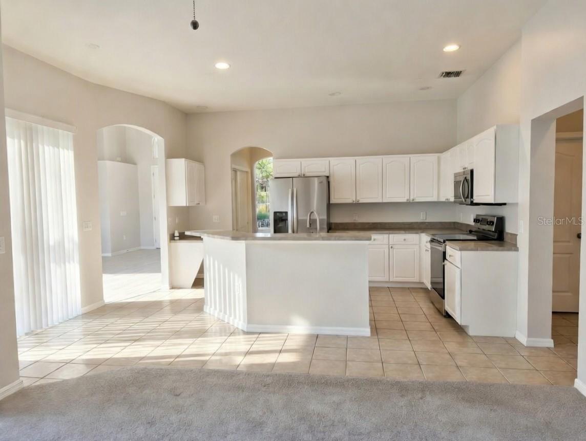 10805 AUSTRALIAN PINE DR, RIVERVIEW, FL, 33579