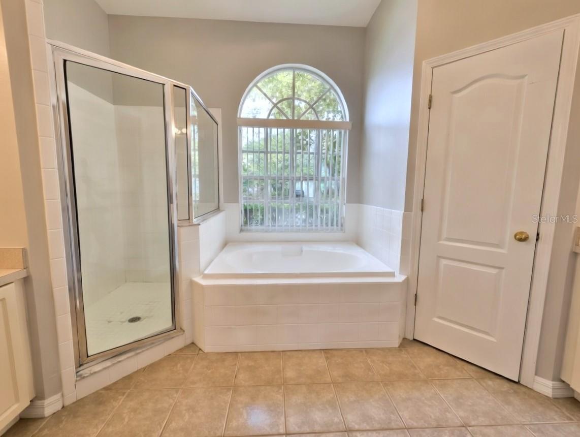 10805 AUSTRALIAN PINE DR, RIVERVIEW, FL, 33579