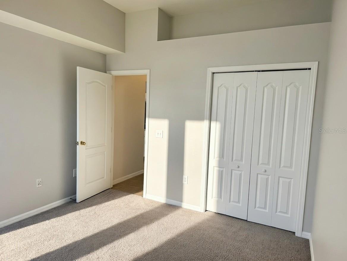 10805 AUSTRALIAN PINE DR, RIVERVIEW, FL, 33579