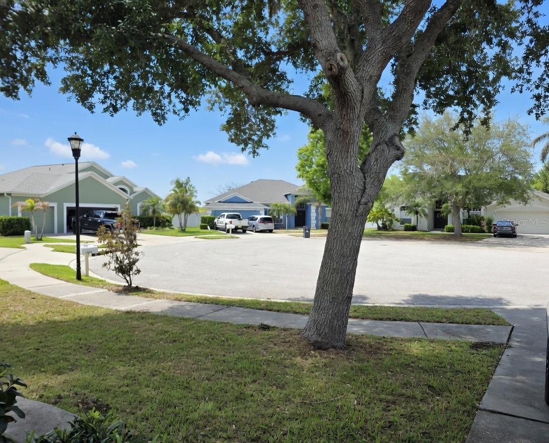 10805 AUSTRALIAN PINE DR, RIVERVIEW, FL, 33579