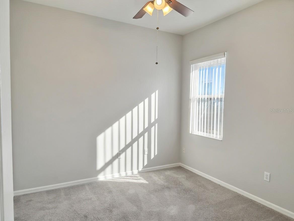 10805 AUSTRALIAN PINE DR, RIVERVIEW, FL, 33579