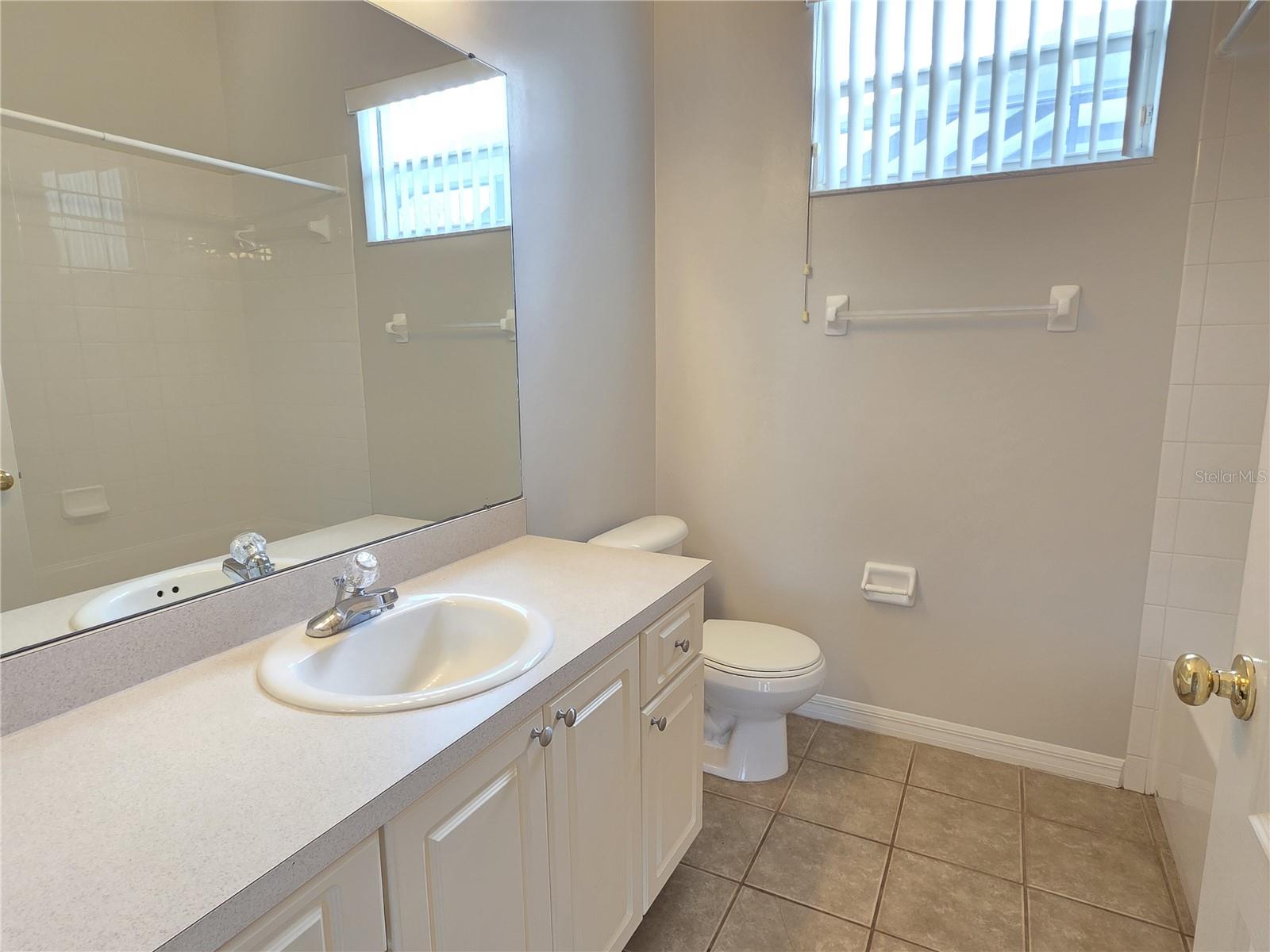 10805 AUSTRALIAN PINE DR, RIVERVIEW, FL, 33579