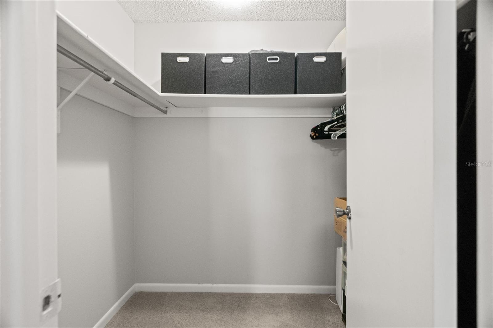 6322 TREETOP CIR, TEMPLE TERRACE, FL, 33617