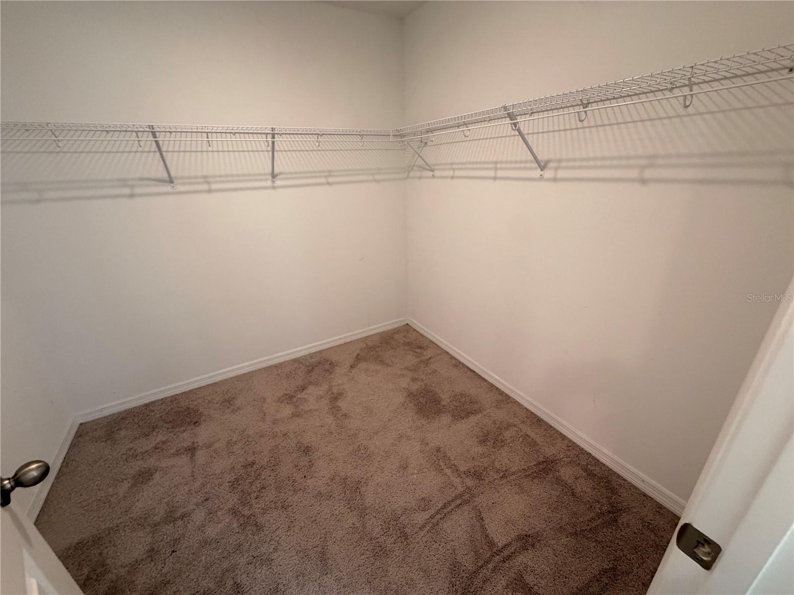 11153 GREEN CITRON ALY, WINTER GARDEN, FL, 34787