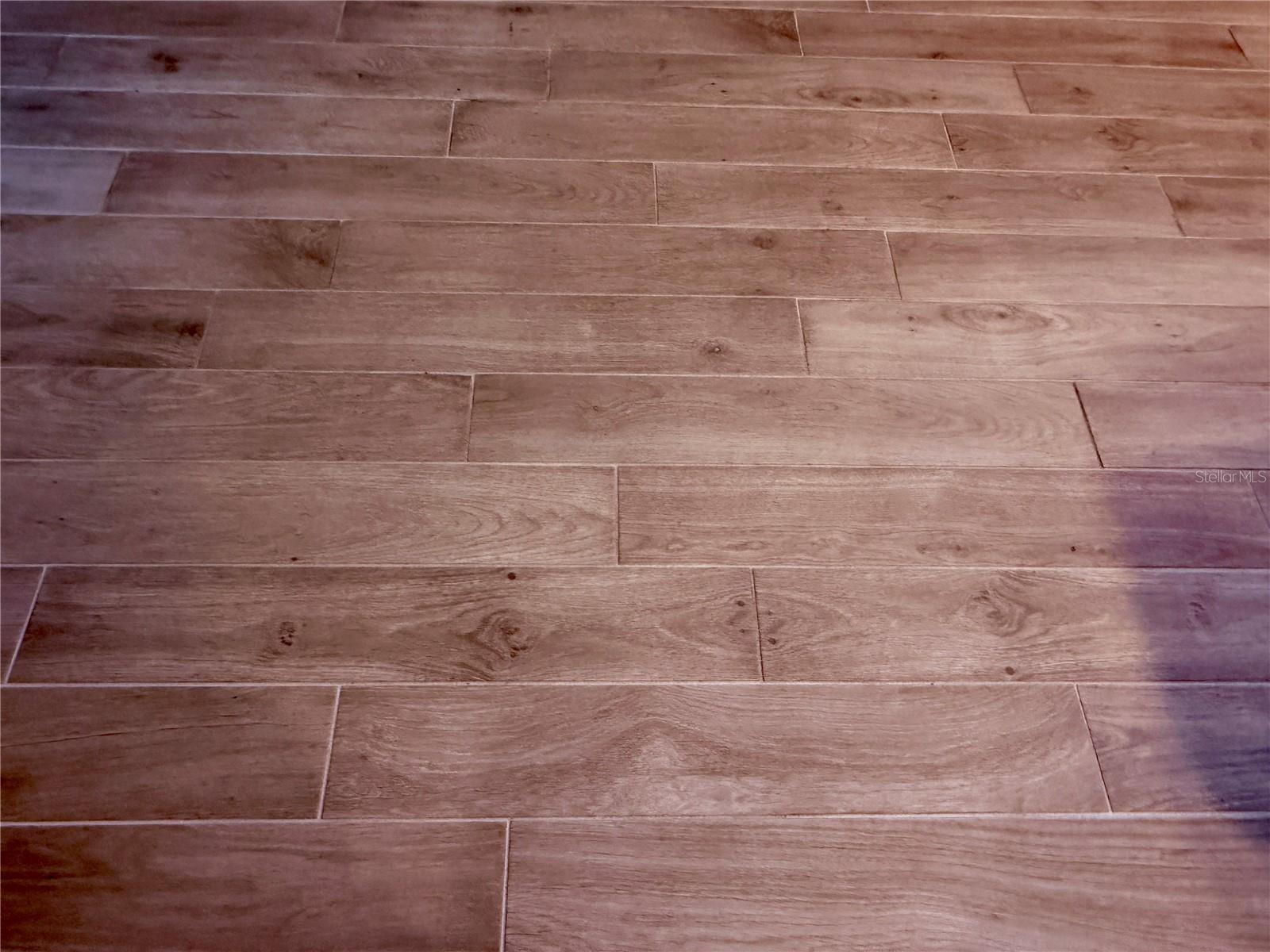 4743 CHATTERTON WAY, RIVERVIEW, FL, 33578