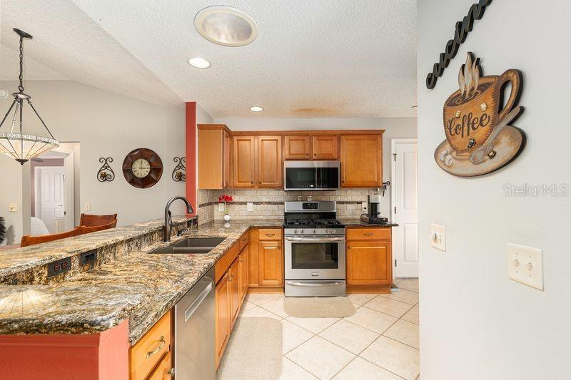 9325 SE 171ST LE FLORE LN, THE VILLAGES, FL, 32162