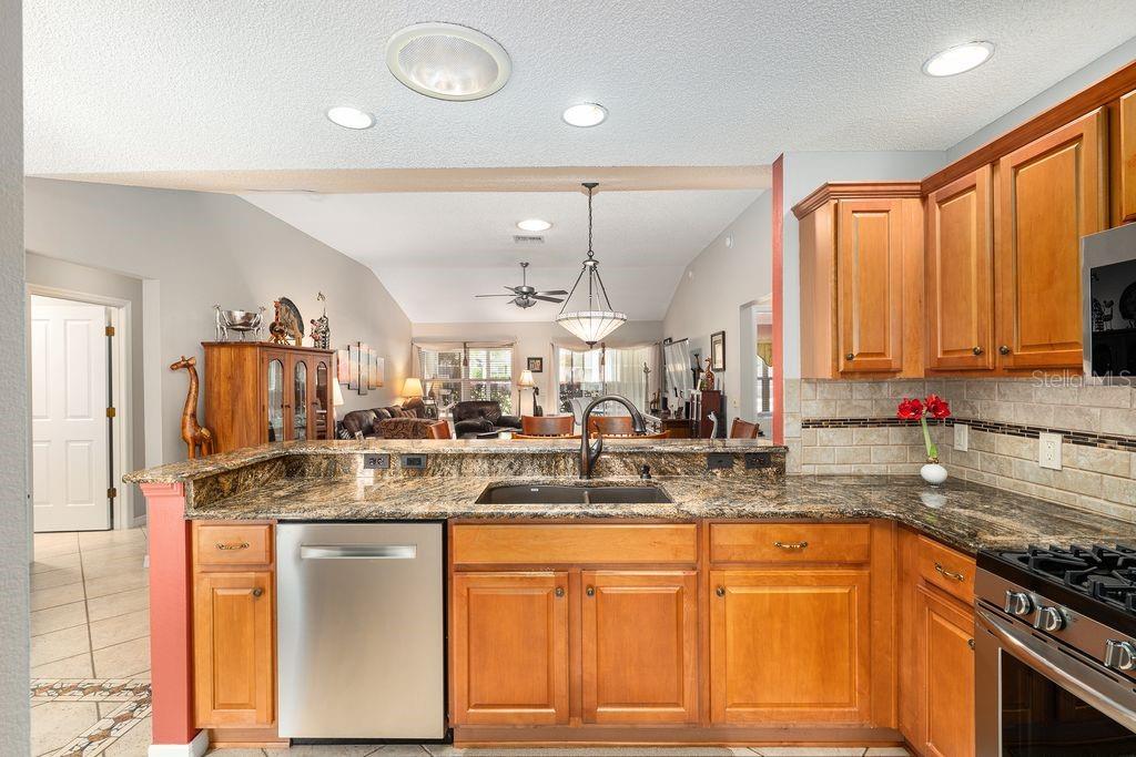 9325 SE 171ST LE FLORE LN, THE VILLAGES, FL, 32162