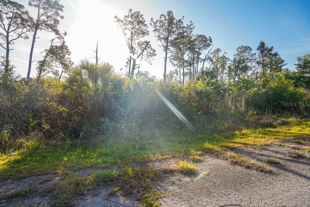 BLUELEAF DR, NORTH PORT, FL, 34288