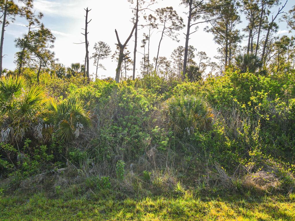 BLUELEAF DR, NORTH PORT, FL, 34288