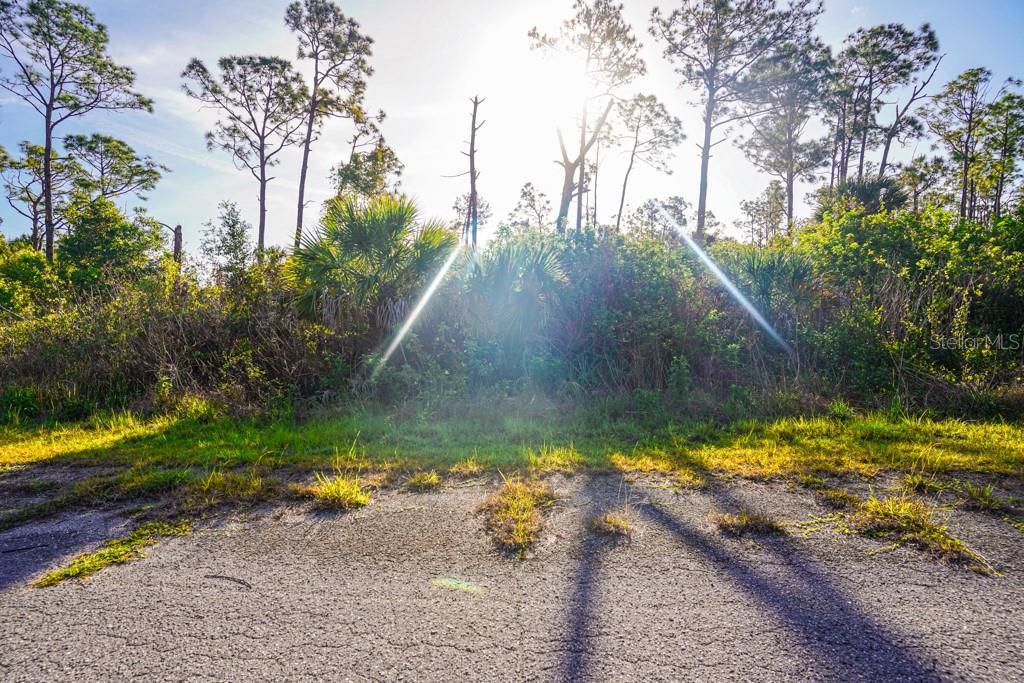 BLUELEAF DR, NORTH PORT, FL, 34288