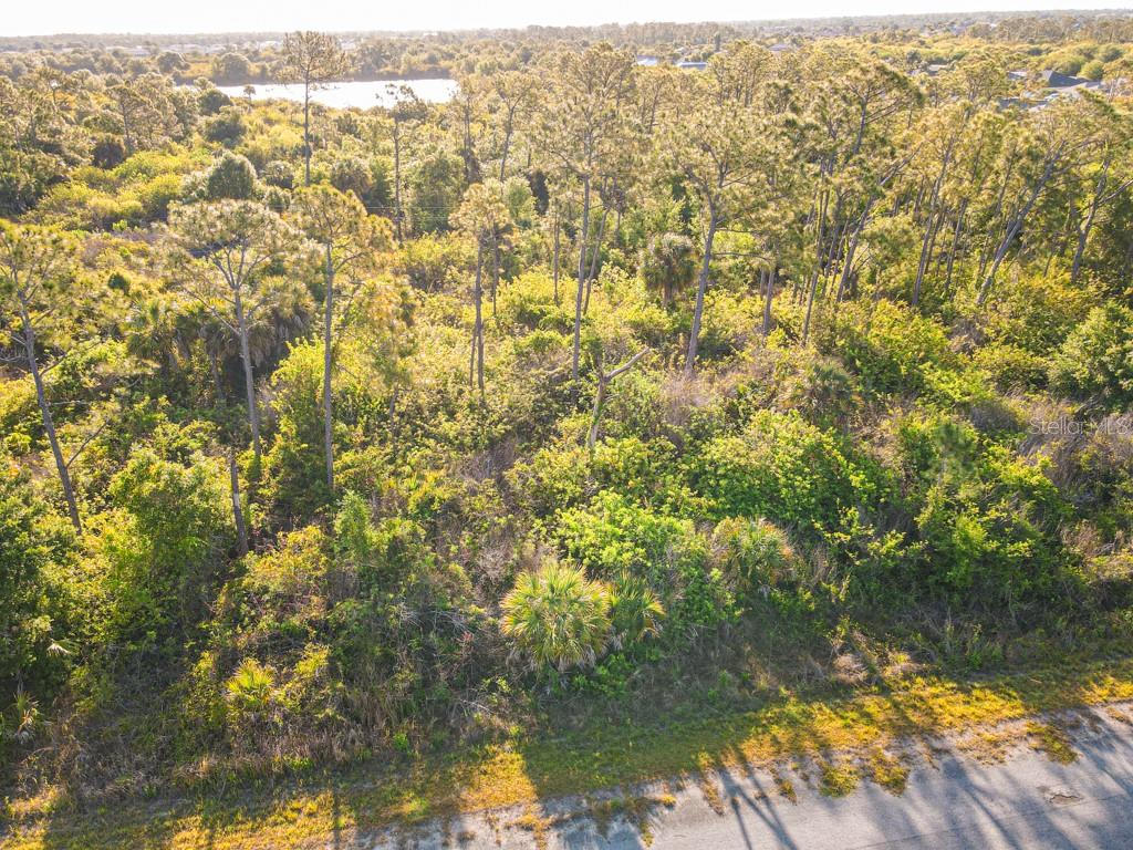 BLUELEAF DR, NORTH PORT, FL, 34288