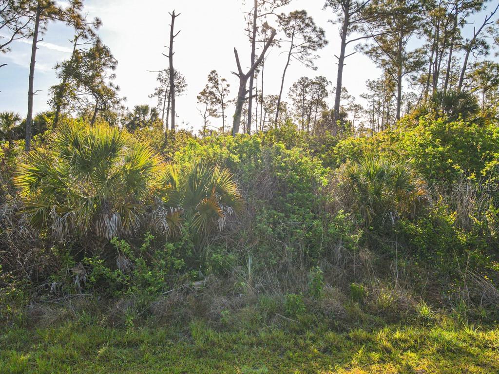 BLUELEAF DR, NORTH PORT, FL, 34288